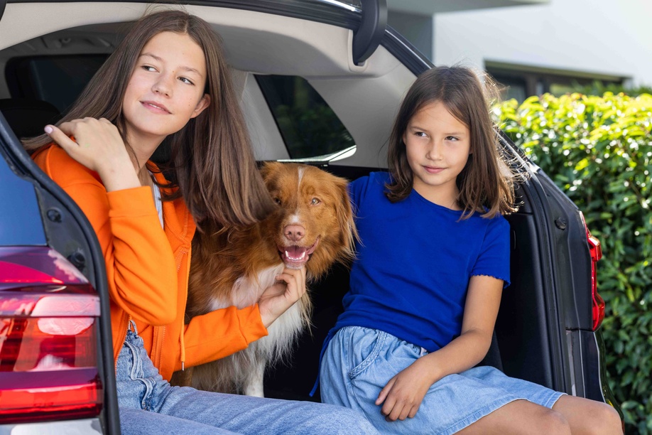 Der 7-Sitzer ist ein perfektes Familienauto